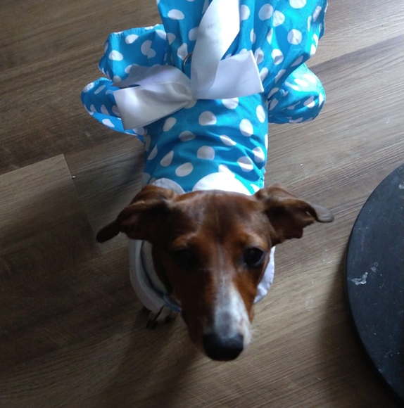 Meet your Posher, Dianne - Picture 1 of 1